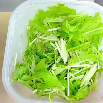 食べやすく切った水菜